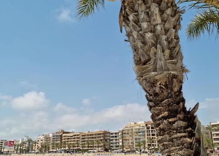 Apartamentos Palangres